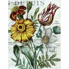 Botanical Floral #6 | Paper for Decoupage | A4 Mulberry Rice Paper