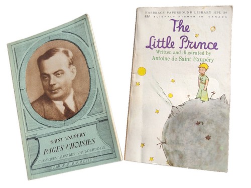 PRINCE: A DOCUMENTARY BY PER NILSEN (1993) VG | eBay