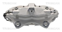 Triscan Bremssattel 8175 81201 FüR Tesla Model 100D AWD 60D 70D 75D 85D 90D P85