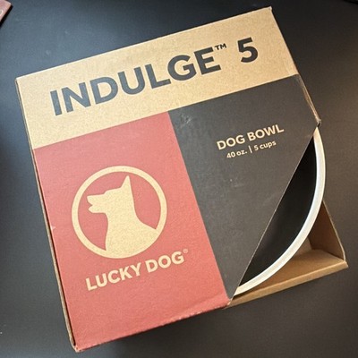 Lucky Dog Indulge 5 Stainless Dog Bowl 40oz Red Double-Walled Non-Slip