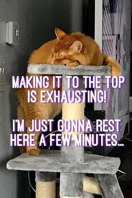Making It to the Top Is Exhausting!: I'm Just Gonna Rest Here a Few Minutes... b