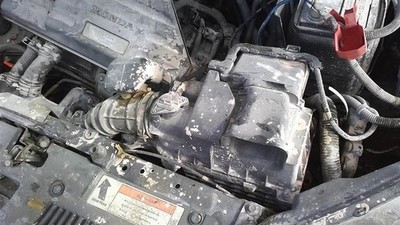 Air Cleaner 1.5L Turbo Fits 17-22 CR-V 32890212