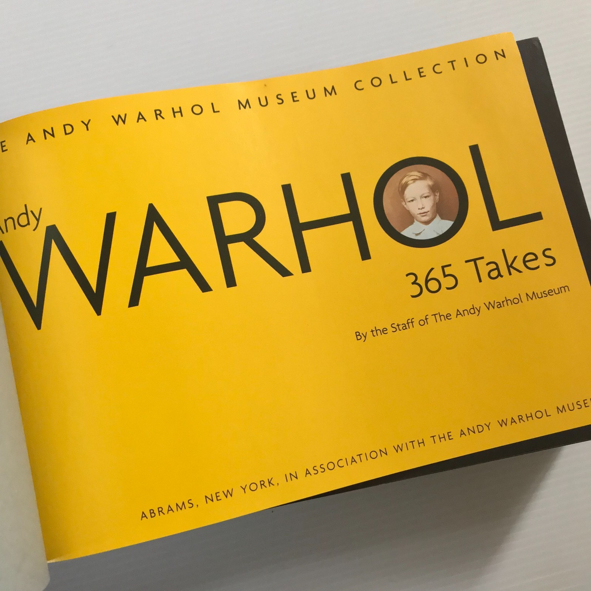 Andy Warhol 365 Takes - The Andy Warhol Museum Hardback Book 