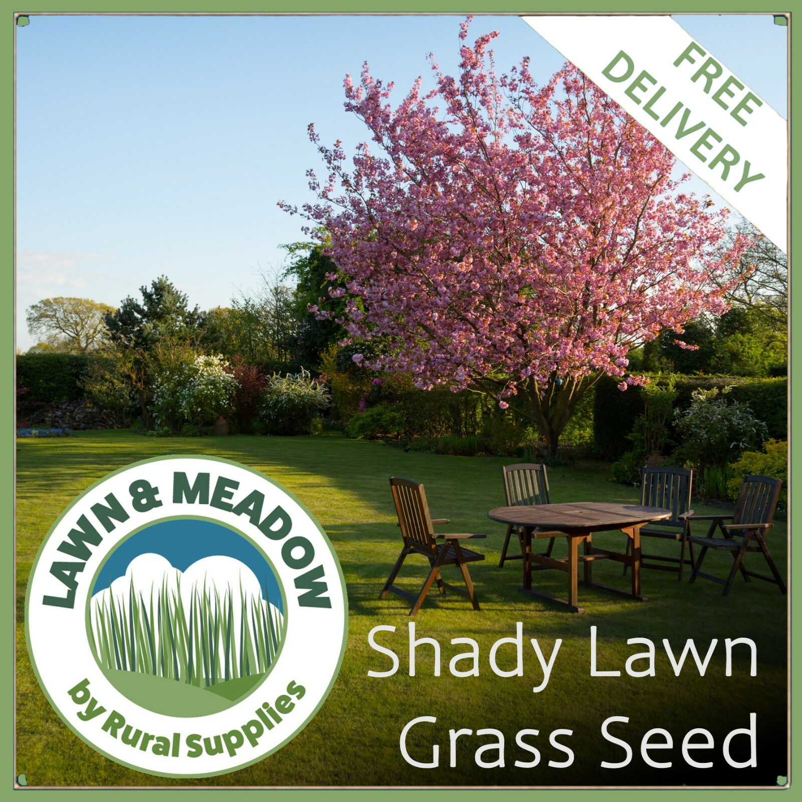 Grass Seed For Shaded Areas DROUGHT TOLERANT QUALITY LAWN SEED eBay