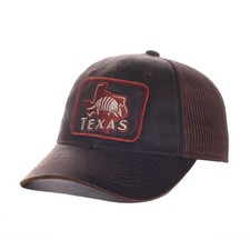 Texas Armadillo Trucker Hat, Brown Cotton Ble...