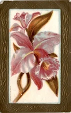 L. R. Conwell, New York, Sister, Lottie Edgars, Hammond Postcard