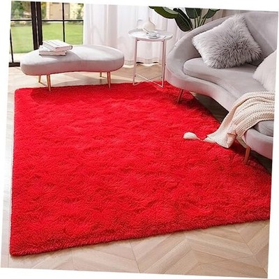  Premium Soft Fluffy Area Rug Modern Shag Carpet, 3x5 Feet, Fuzzy Shaggy Rugs 