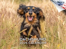 Dachshund Dog Breed Calendar 2026 12x18 Made in USA