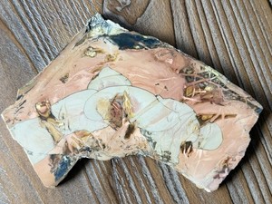 Old Stock Morrisonite Jasper Slab Jake’s Place Orby Steamers Oregon 6.5oz