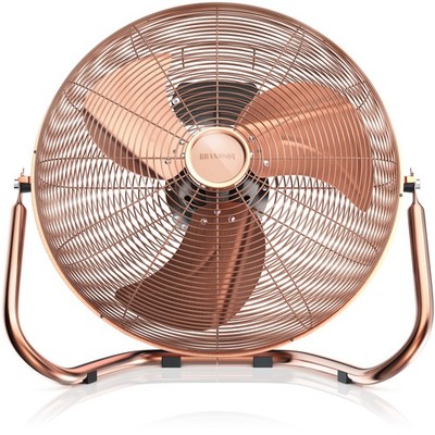 Brandson Windmaschine mit 3 Leistungsstufen | Neigbar | 30cm Ø