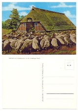 133133 - Schafstall und Heidschnucken in der Lüneburger Heide - alte AK