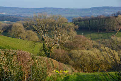 Foto 6x4 Wiveliscombe: Grasfeld Wasserreihe Eine Wiese auf dem Hi c2022