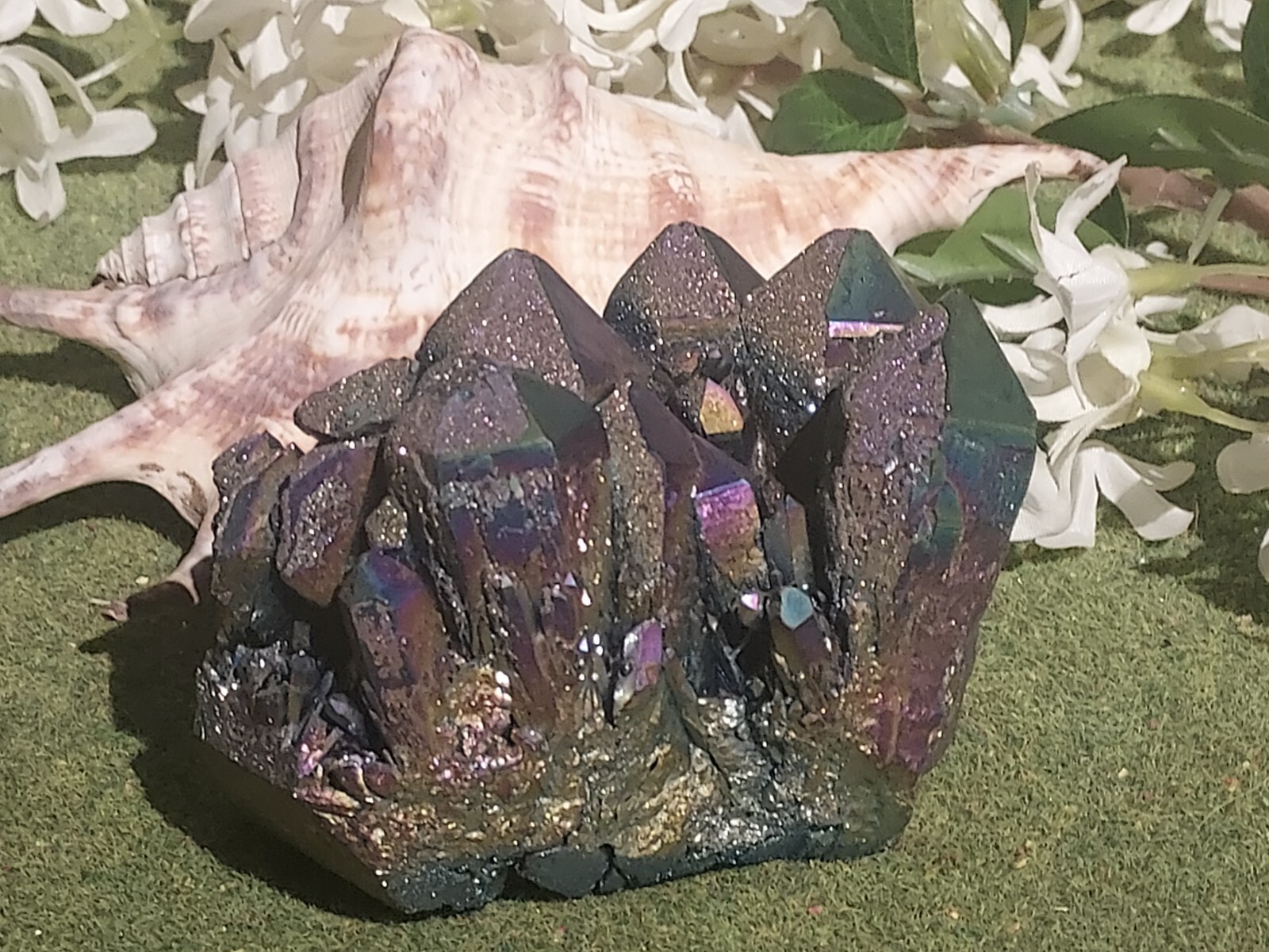 Picture 1 of 4