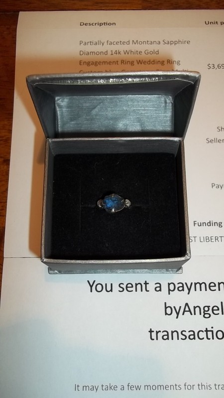 Blue Montana Sapphire Ring with Two Diamond Sentry's in 14K Wht Gold ByAngeline