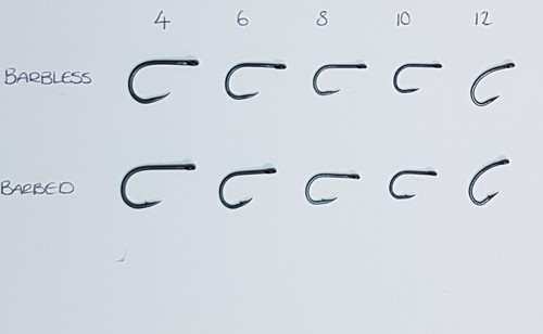 10 X HAARRIGS BELADEN MIT 15 mm DYNAMITKÖDERN WEISS CHOC KOKOSNUSSCREME BOILIES - Bild 3 von 4