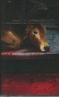 PANDI, Arash - Exotic Paradox - Cassette