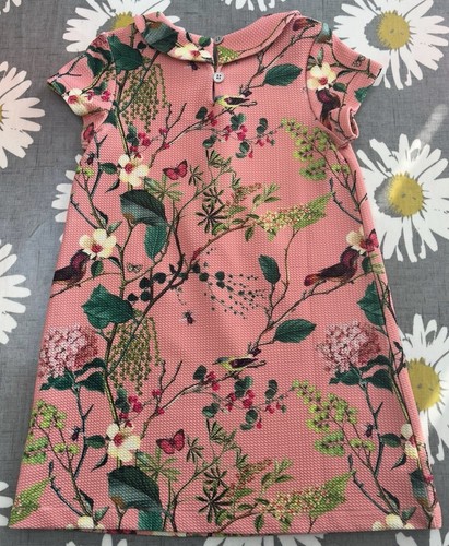 Girls Next Dress With Peter Pan Collar Age 4-5 - Picture 2 of 5