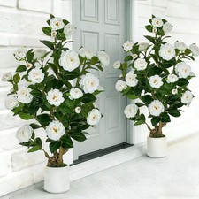 2 Pack 3.3ft Artificial Camellia Tree for Front Porch Decor, White Fake Flower