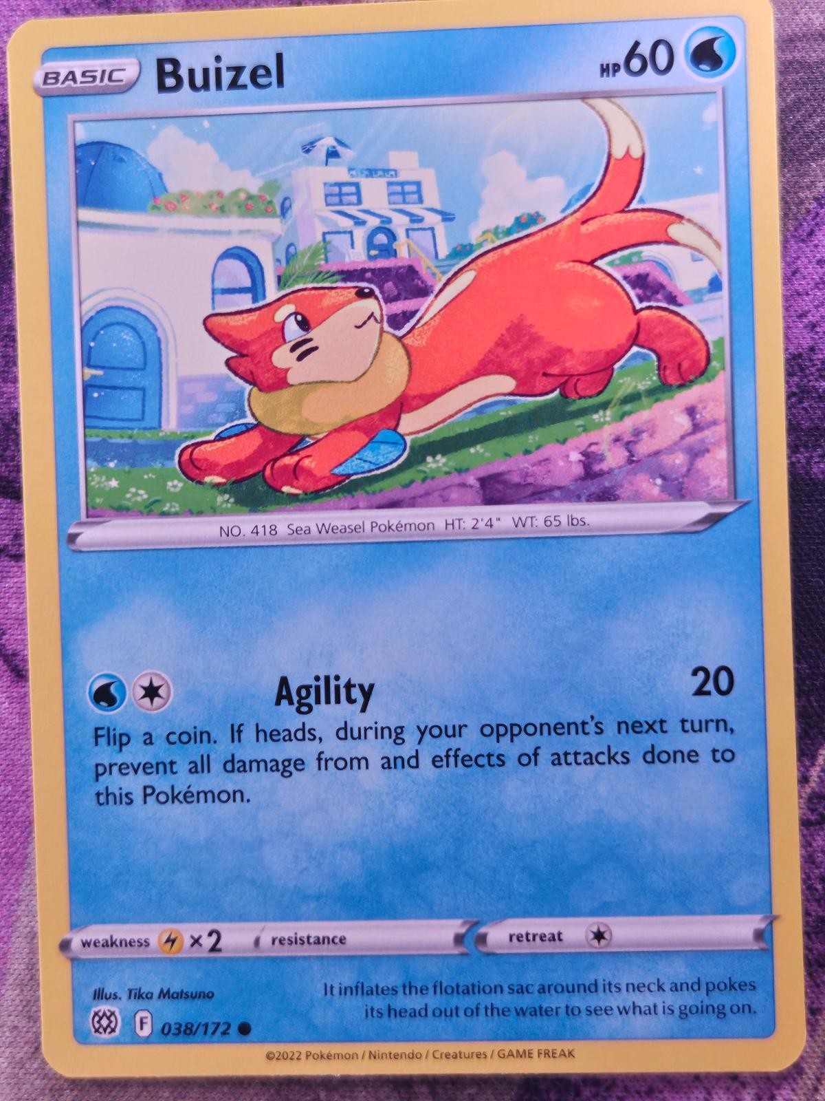 Buizel 038/172 Common Brilliant Stars Pokemon Near Mint