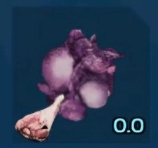 🔥ARK Survival Ascended OFFICIAL PVE - PLANT SPECIES R SEEDS