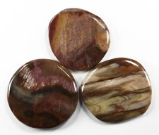 Three (3) Madagascar Petrified Wood Flat Chakra Smooth Stones Pocket Carry (177)