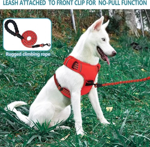 Imbracatura Regolabile Riflettente per Cani No-Pull + Guinzaglio Guinzaglio per Cani di Piccola Grande Taglia - Foto 14 di 25