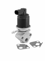 BorgWarner (Wahler) Agr-Ventil U.A. FüR Audi, Seat, Skoda, VW