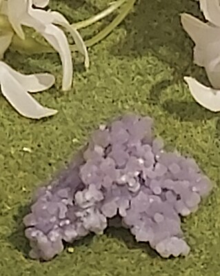 Traubenachat/lila botryoidales Chalcedon natürliche mineralische Probe 22g