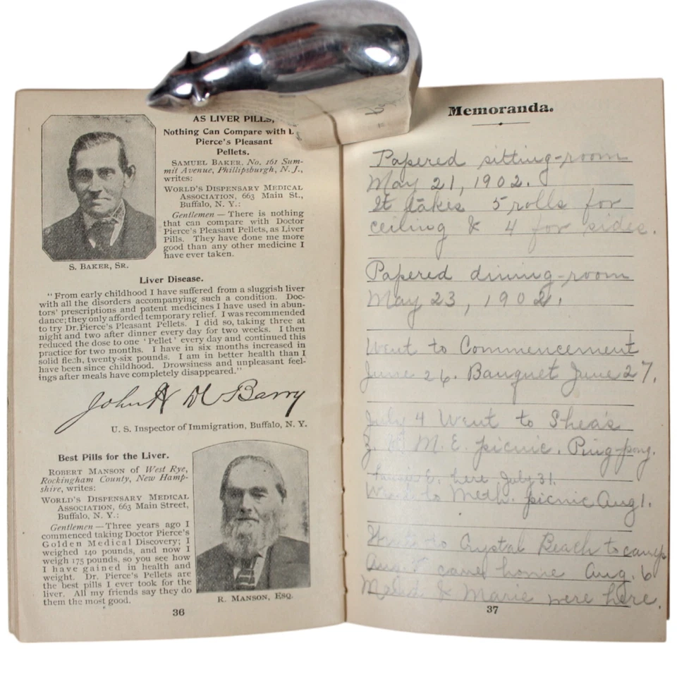 Libro de memorándum diario Buffalo WNY 1898-1902 McKinley Shot Shea's Crystal Beach  Foto 3 de 4