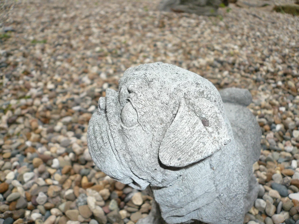REGAL WEATHERED VINTAGE CEMENT/CONCRETE OLD PUG DOG GARDEN ORNAMENT 7" LONG - Image 4 of 4