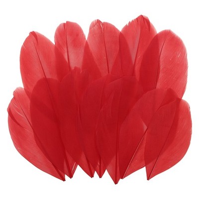 80 Pcs Red Craft Goose Feathers 2-3.1 Inch Feathers Bulk for Crafting