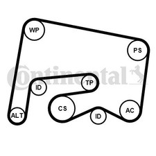 KEILRIPPENRIEMENSATZ CONTINENTAL CTAM 6PK2155K1 FÜR MERCEDES KEILRIPPENRIEMENSATZ CONTINENTAL CTAM 6PK2155K1 FÜR MERCEDES