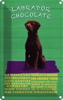 Blechschild 30X20 Cm Labrador Chocolate Hund Tier Haustier Deko Geschenk Metall