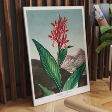 Flowers Red Robert Thornton Reed CANVAS WALL ART 20x30 in