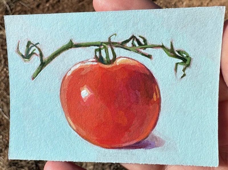 ripe tomato aceo art card original painting signed 2.5x3.5