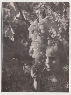 Cute Little Girl Child Holding Grapes Close Quiet Sweetness Framed By Light Phot