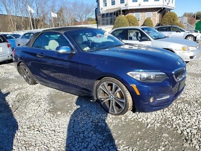 Radiator Fan Motor Fan Assembly Fits 17-21 BMW 230i 1008373