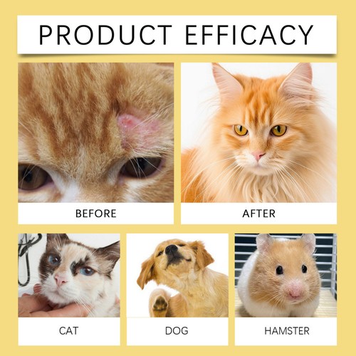 1-3X Pet Dog Skin Care Spray Relief Irritation Treatments Natural Soothing Pet - Picture 8 of 15