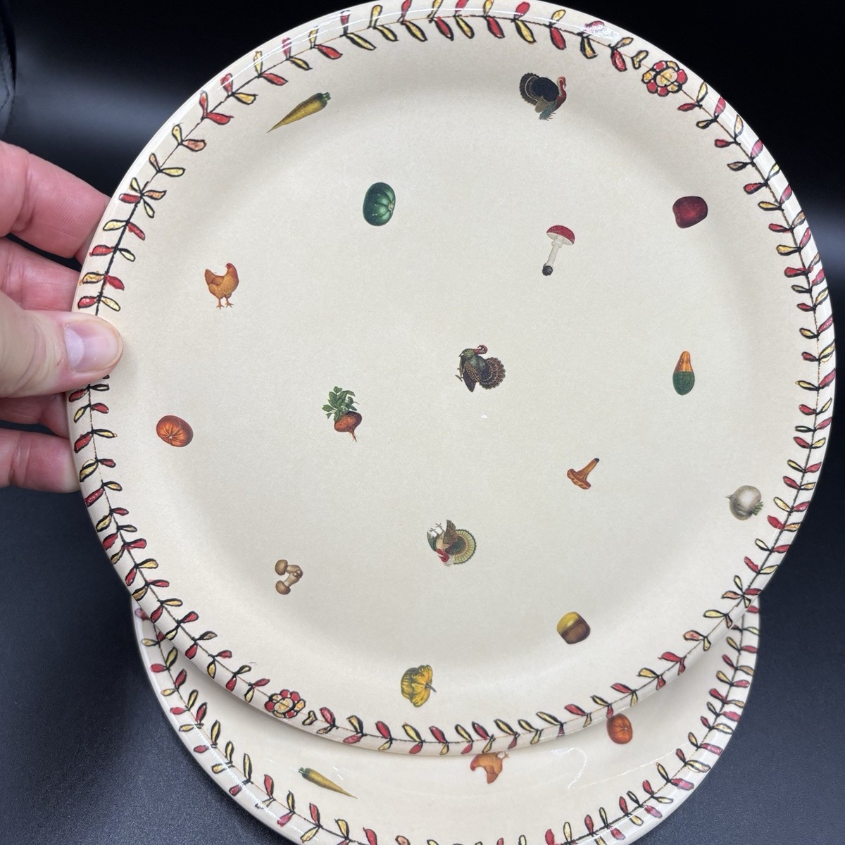 Set 2 John Derian Melamine Bra Free Kids Dinner Plate Fall Decor