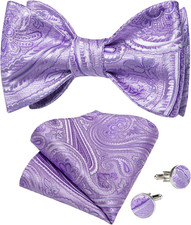 Men Bow Tie Paisley Striped Self-Bow Tie for Men and Silk Woven Bowtie Pocket Sq