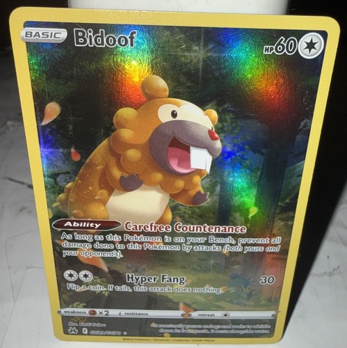 Bidoof GG29/GG70 Holo Crown Zenith Galarian Gallery Pokemon NM
