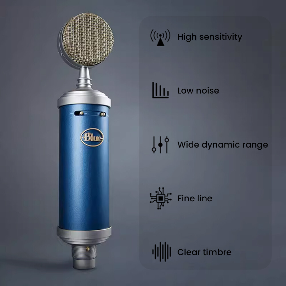 Blue Bluebird SL Studio Condenser Recording Microphone | eBay