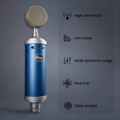 Blue Bluebird SL Studio Condenser Recording Microphone | eBay