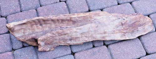 Driftwood Natural Terrarium Aquarium Taxidermy Beach House Decor Large 29" Long