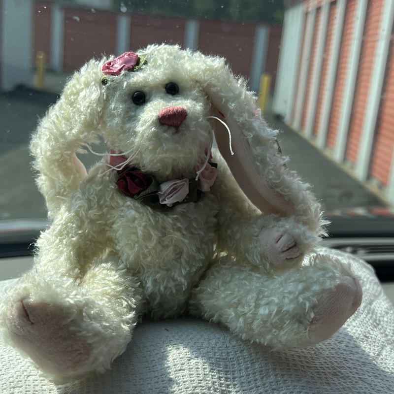 Ty Attic Treasures Rosalyne Plush Bunny Rabbit Retired Vintage 1999 MPN 06211