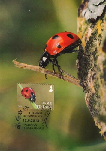 Ladybird Nature Moment Ladybug in Finland Mint FDC Maxi Card 2018