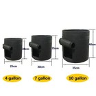 Bild 2 von 6