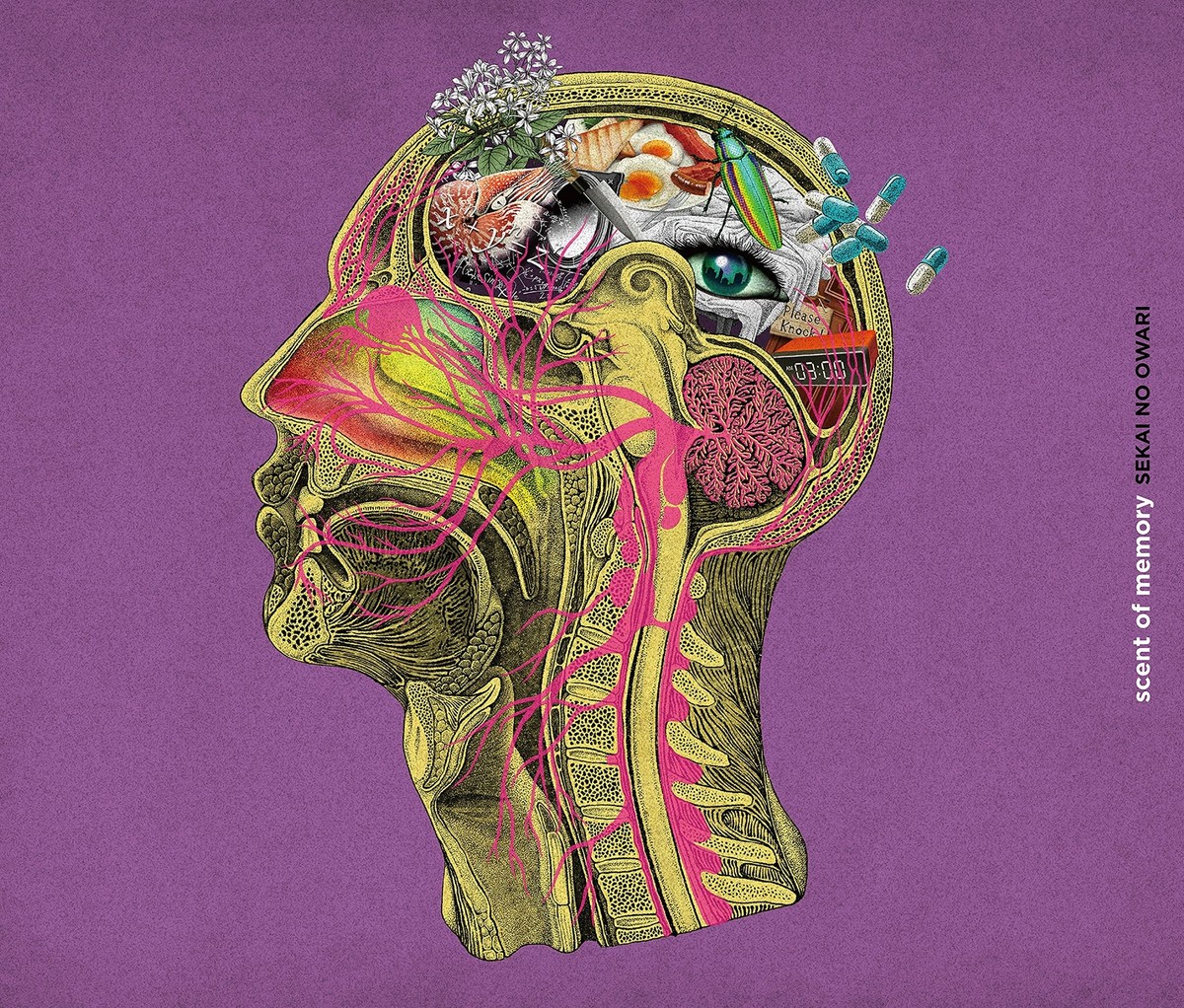 SEKAI NO OWARI scent of memory セット SEKAI NO OWARI / scent of memory【通常盤】【CD】 – UNIVERSAL
