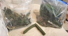 Diseño de hobby verde y etc. Leer descripción.
