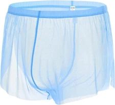 Mens Mesh See Through Boxers Soft Sheer Trunk Refreshing Ultra-thin Loose Shorts